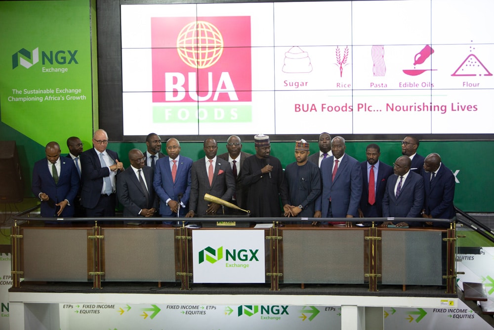 BUA Foods Assets Rise 20% to N1.67 Trillion as First-Half Profit Grows Despite Revenue Decline